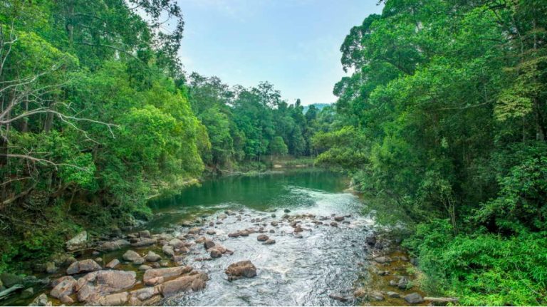 BELANJAWAN PAHANG 2024 : KERAJAAN NEGERI PERUNTUK RM4.85 JUTA BAGI KELESTARIAN BIODIVERSITI ALAM SEKITAR