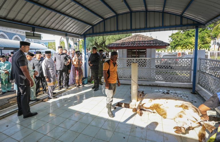 SULTAN PAHANG KURNIA 26 EKOR LEMBU KORBAN SEMPENA AIDILADHA
