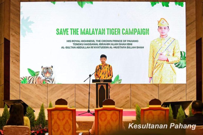 BERI SOKONGAN PADU PEMELIHARAAN HABITAT HARIMAU MELALUI TAMBAH BAIK DASAR – TENGKU MAHKOTA PAHANG