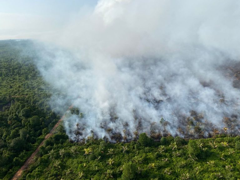 KEBAKARAN LADANG KELAPA GEBENG BERTAMBAH BERIKUTAN ANGIN KENCANG, CUACA PANAS