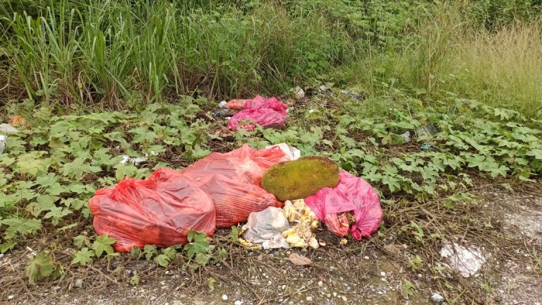 PENIAGA NANGKA PERNAH TERIMA TUJUH KOMPAUN DARI MAJLIS DAERAH RAUB TAHUN LEPAS