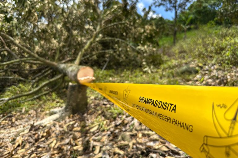 OPERASI PENGUATKUASAAN KEBUN DURIAN HARAM DI SUNGAI RUAN TIDAK TERIKAT PERINTAH MAHKAMAH