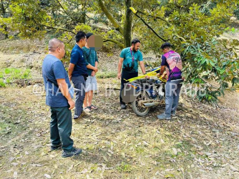 TIGA TERMASUK SEORANG WARGA ASING DITAHAN CEROBOH HUTAN SIMPAN ROTAN TUNGGAL