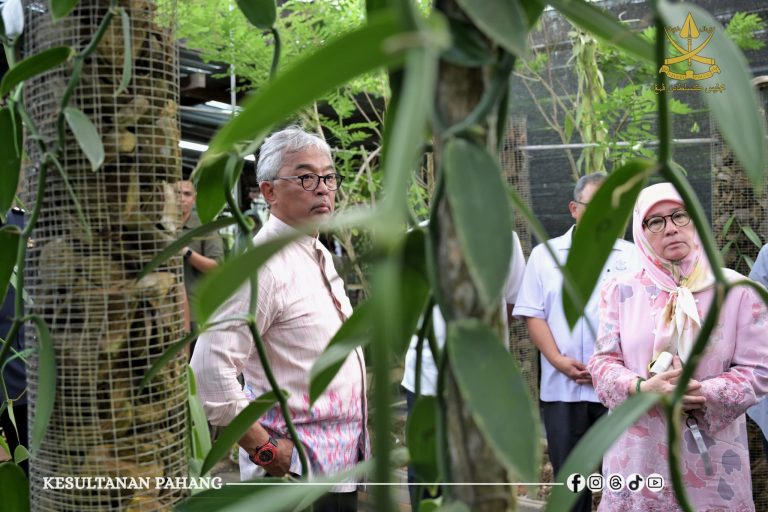 KDPB SULTAN PAHANG, KDPB TENGKU AMPUAN PAHANG BERKENAN BERANGKAT KE AMANI VANILA TEMERLOH (AVT)