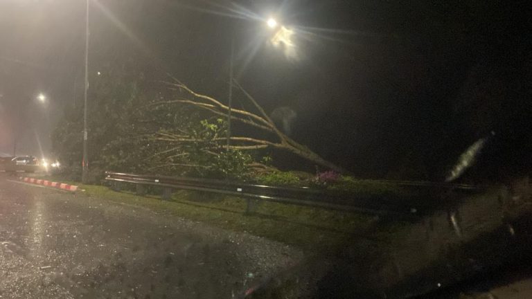 TIGA POKOK TUMBANG AKIBAT RIBUT, LALUAN DI TANAH PUTIH TERHALANG SEMENTARA