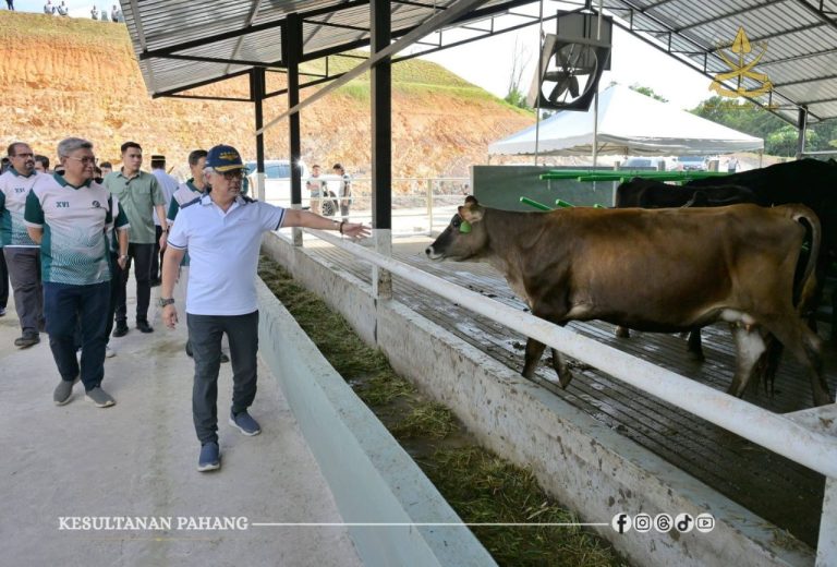 KDPB SULTAN PAHANG BERKENAN TINJAU PROJEK LADANG LEMBU TENUSU DI GAMBANG