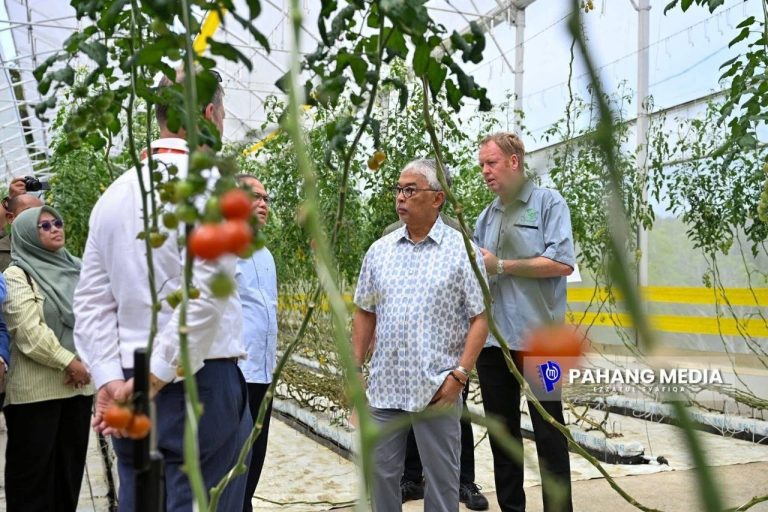KDPB Sultan Pahang galak pekebun dan petani green house amalkan pertanian tanpa racun serangga