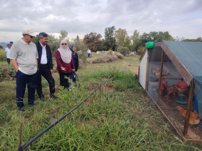 Pahang teliti model pertanian pinggir bandar Barcelona untuk perkukuh sektor agromakanan