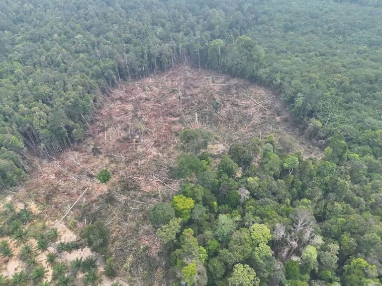 NRES sokong tindakan Pahang lindungi Tasek Bera